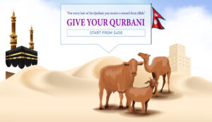 Read more about the article OUR VISION