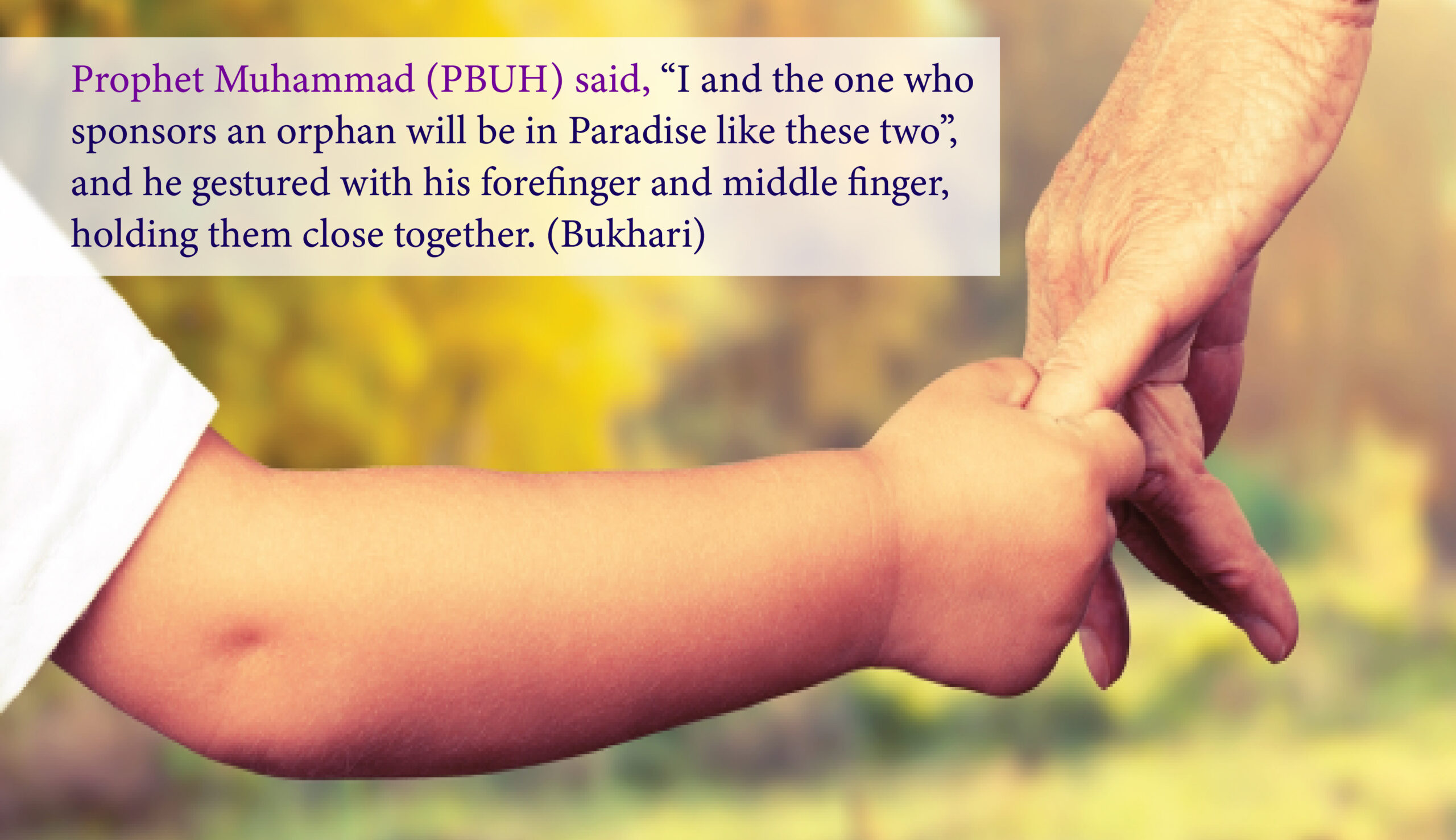 Read more about the article SLC Nepal : Social Life Center Nepal